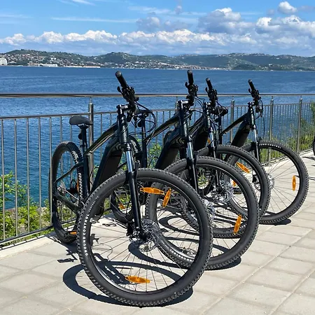 Darina 게스트하우스