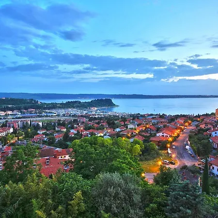 Darina 게스트하우스