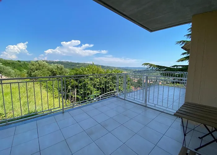 Darina ポルトローシュ