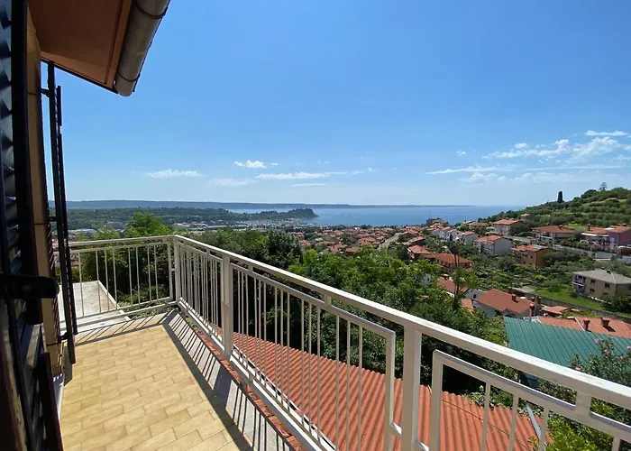 Darina Hiša za goste 3*