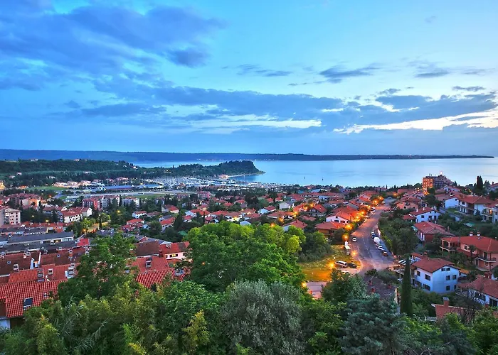 Darina Hiša za goste